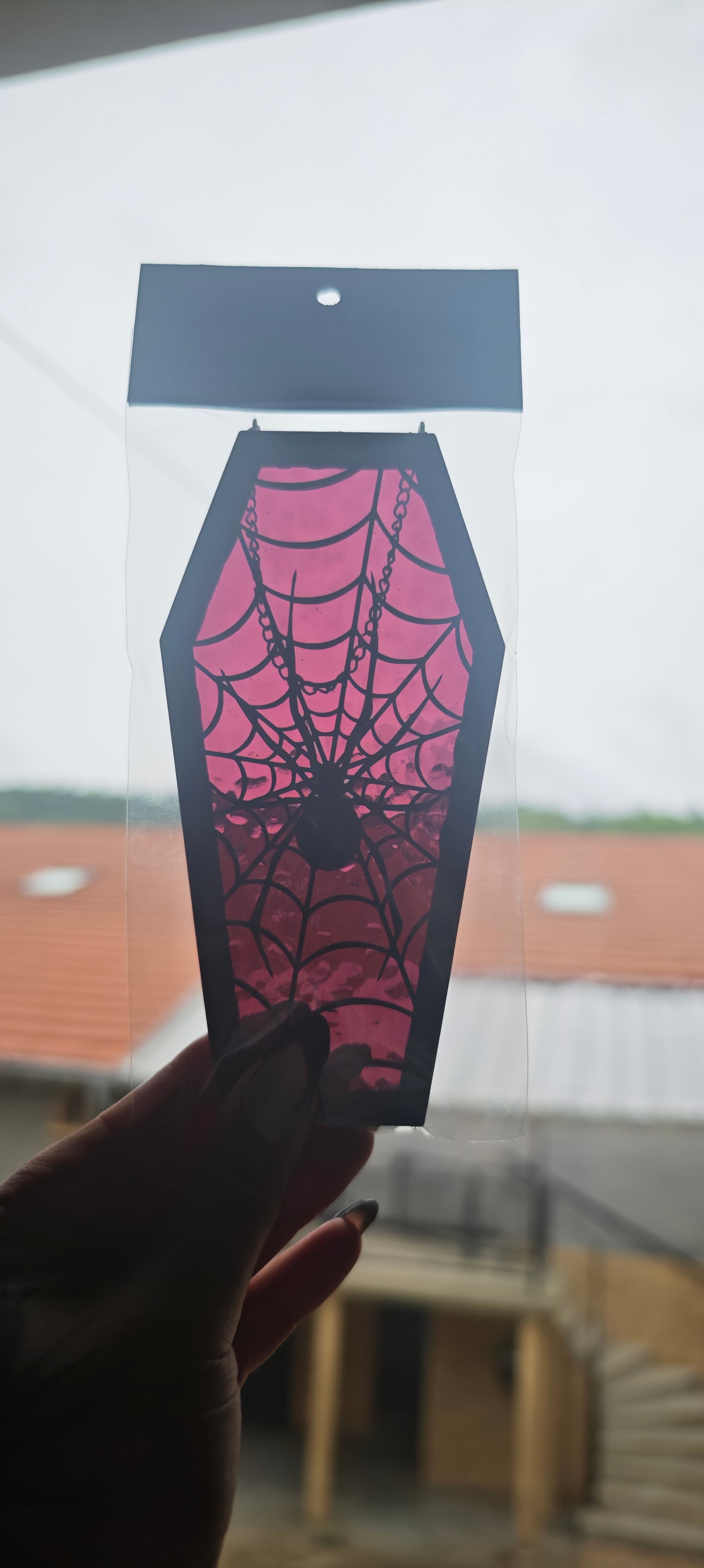 Cercueil verre araignée prune