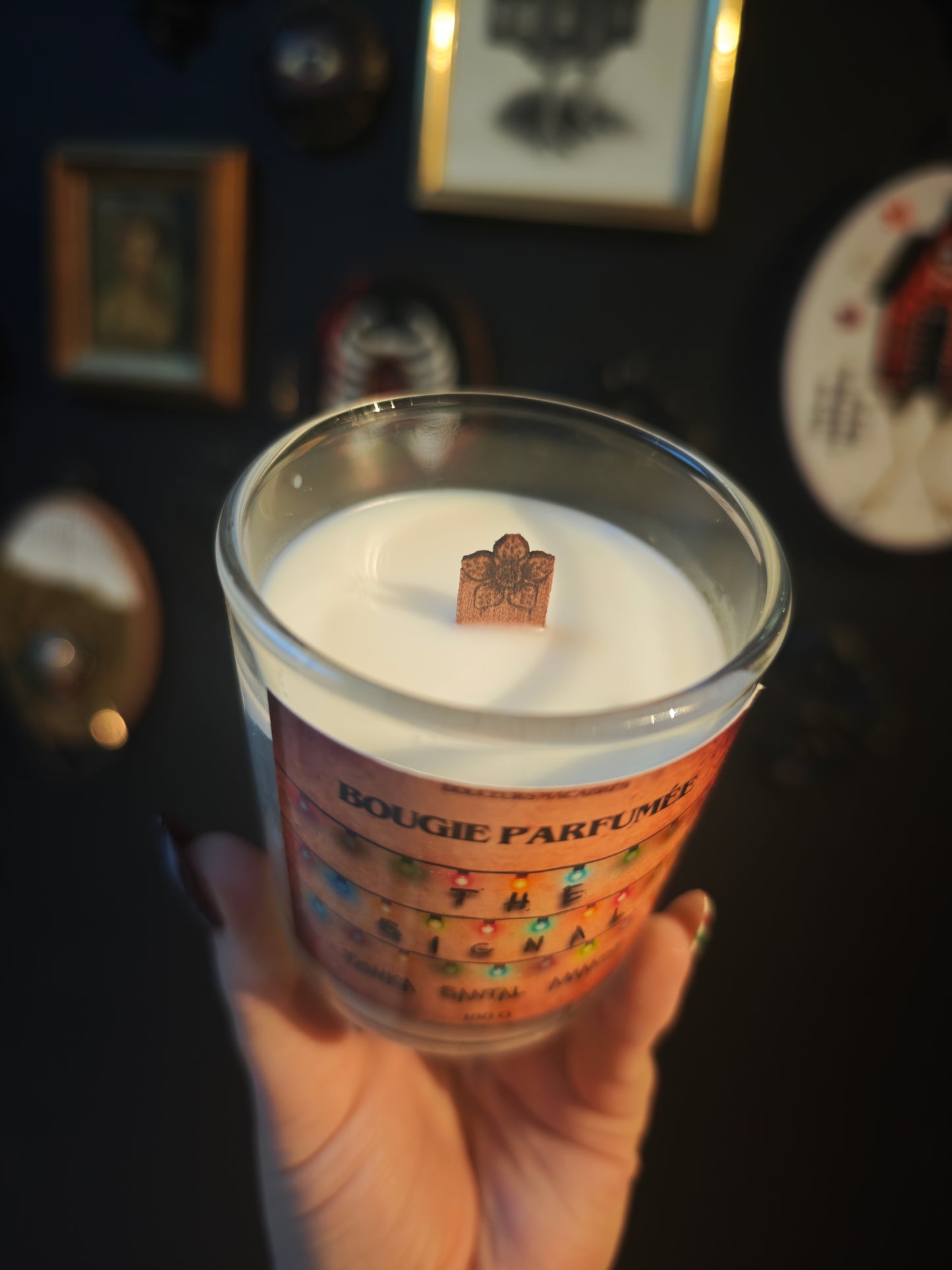 Box Stranger Things (grande)