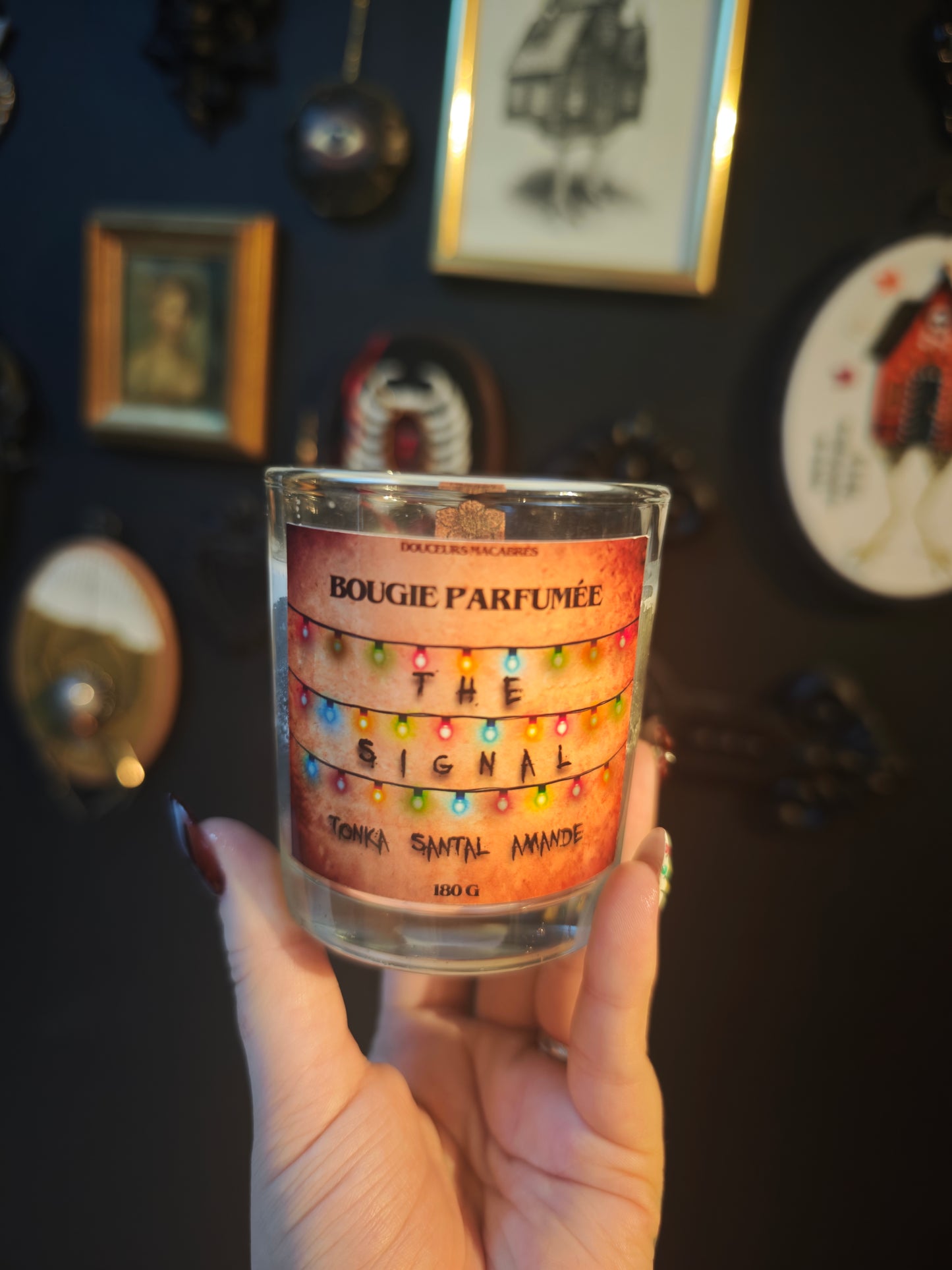 Box Stranger Things (grande)