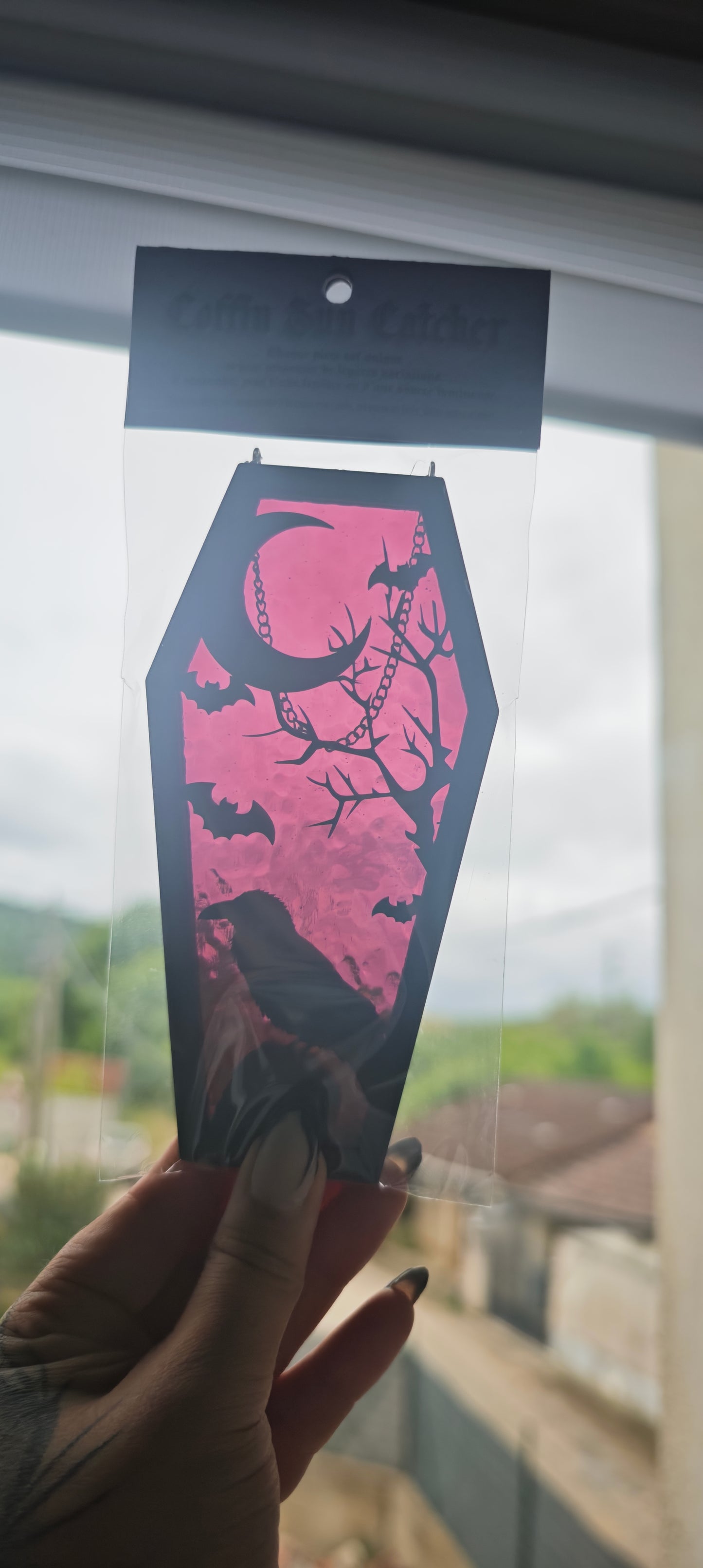 Cercueil verre corbeau crâne prune