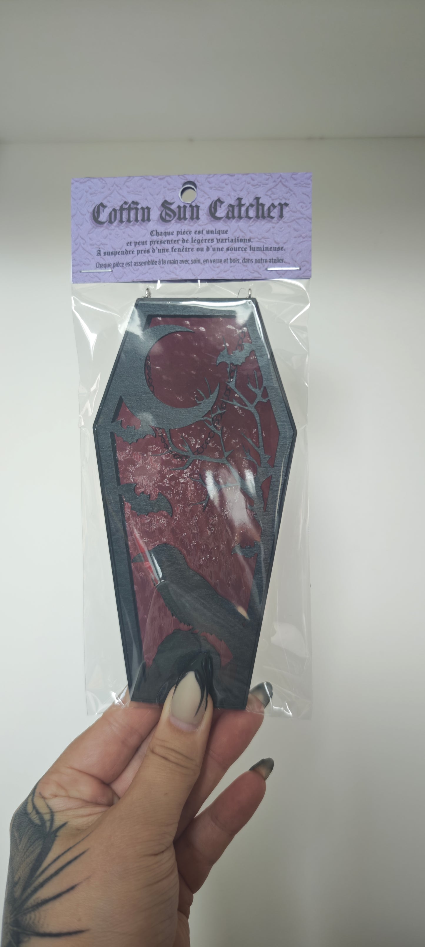 Cercueil verre corbeau crâne prune