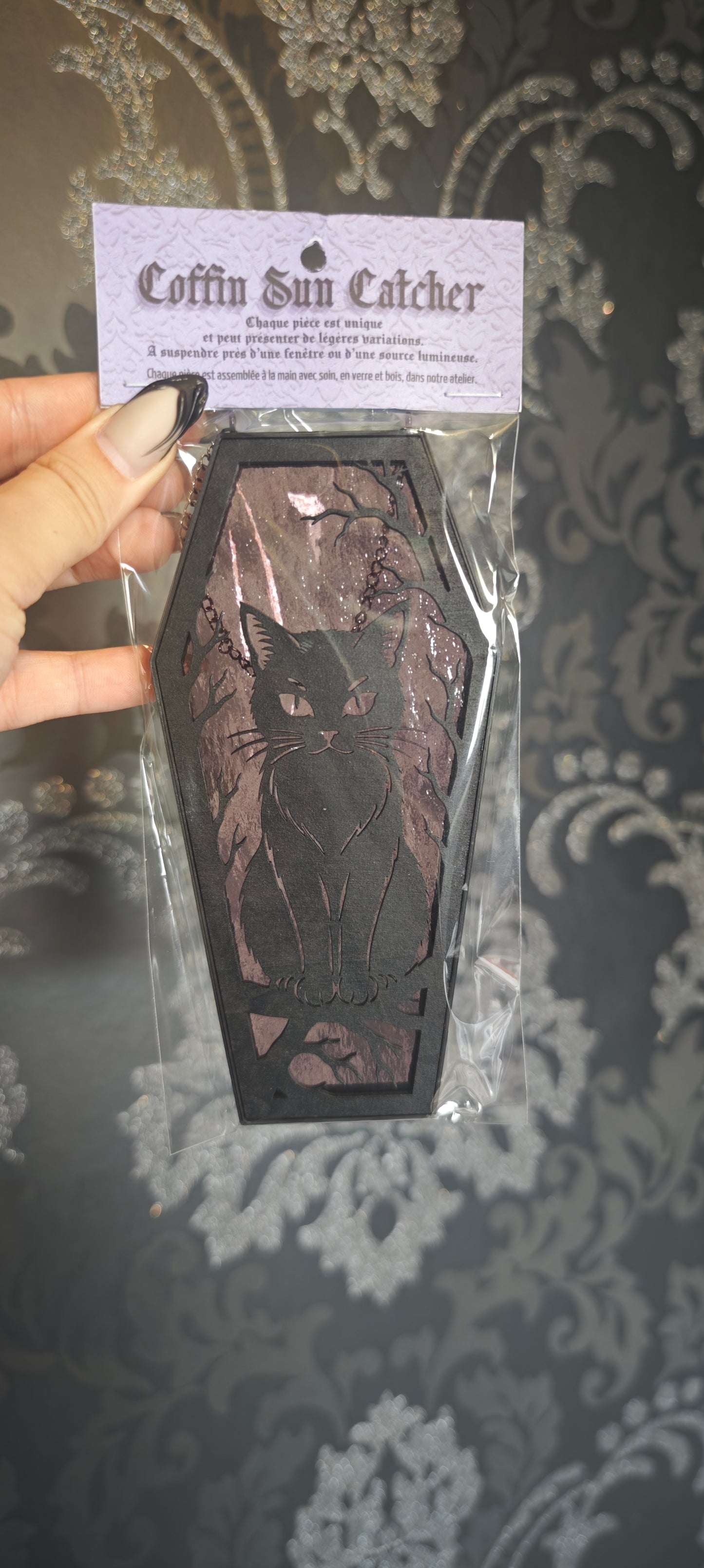 Cercueil verre chat lilas