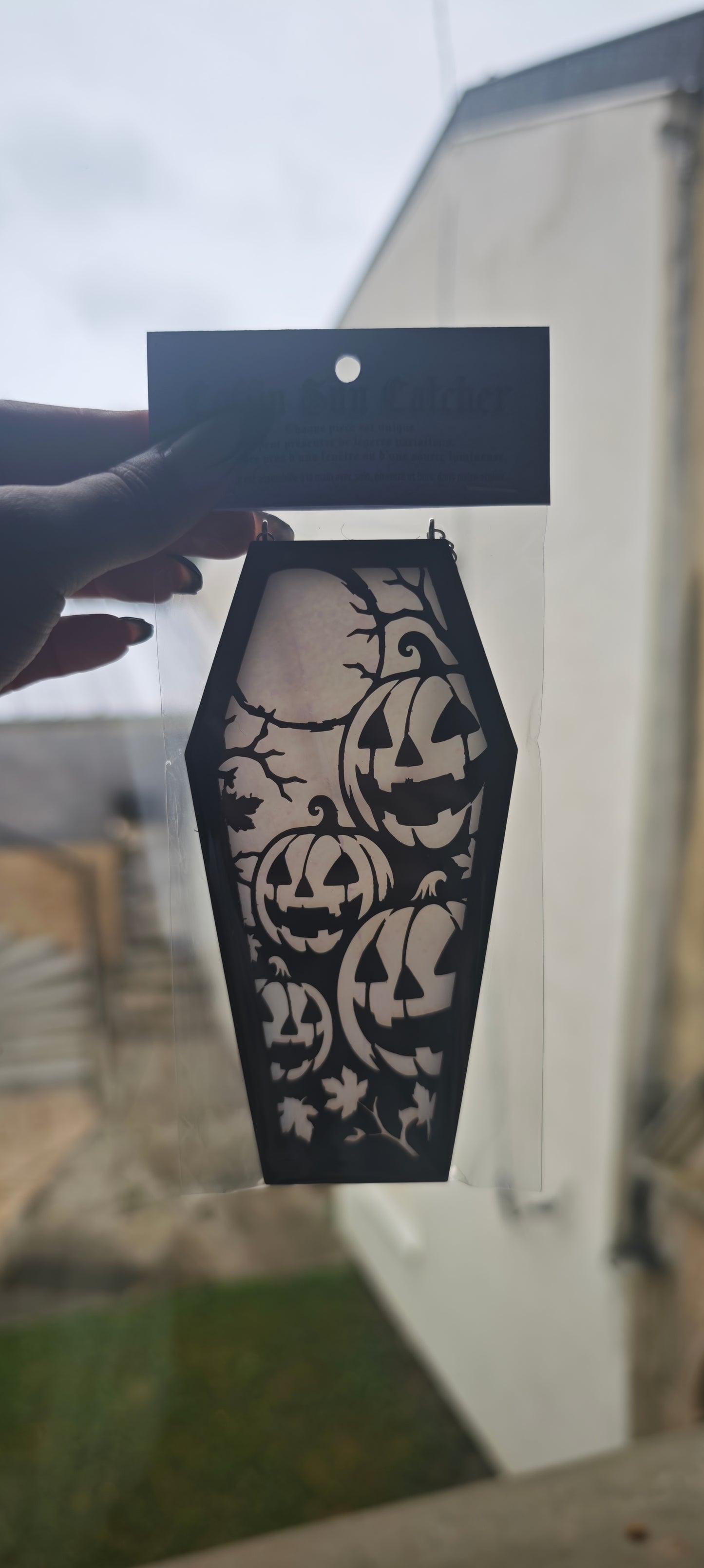 Cercueil verre citrouille blanc holographique