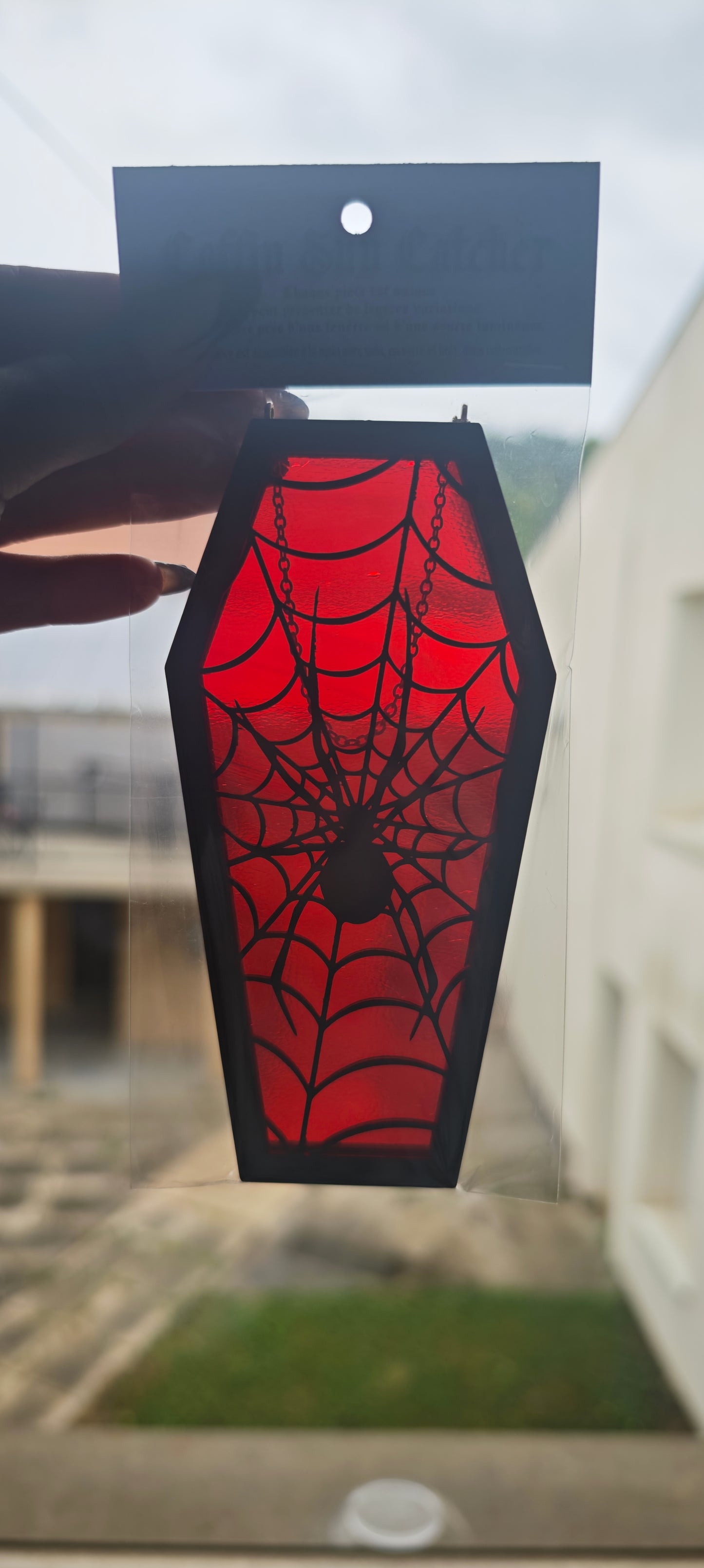 Cercueil verre araignée rouge
