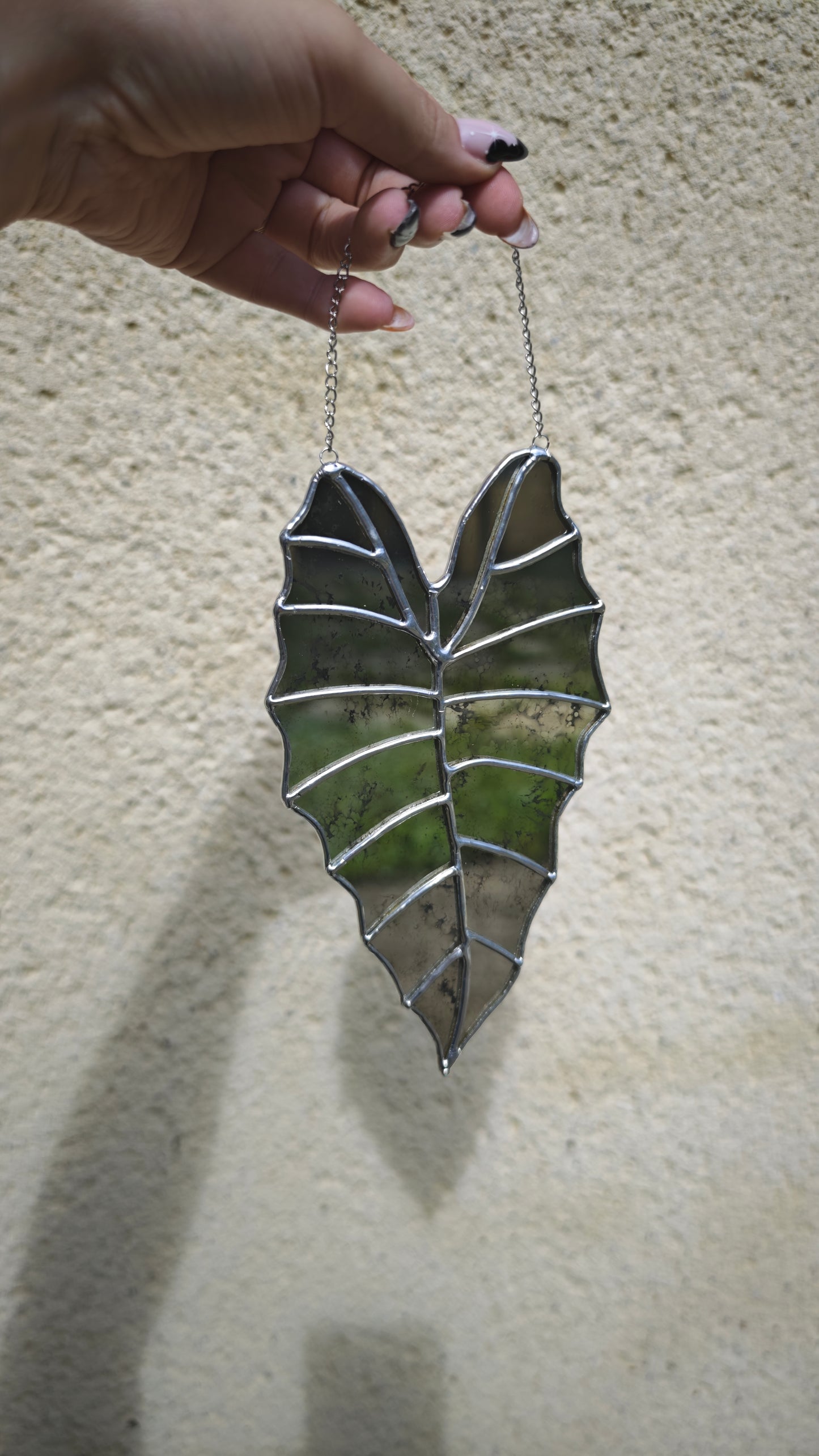 Vitrail Feuille Alocasia