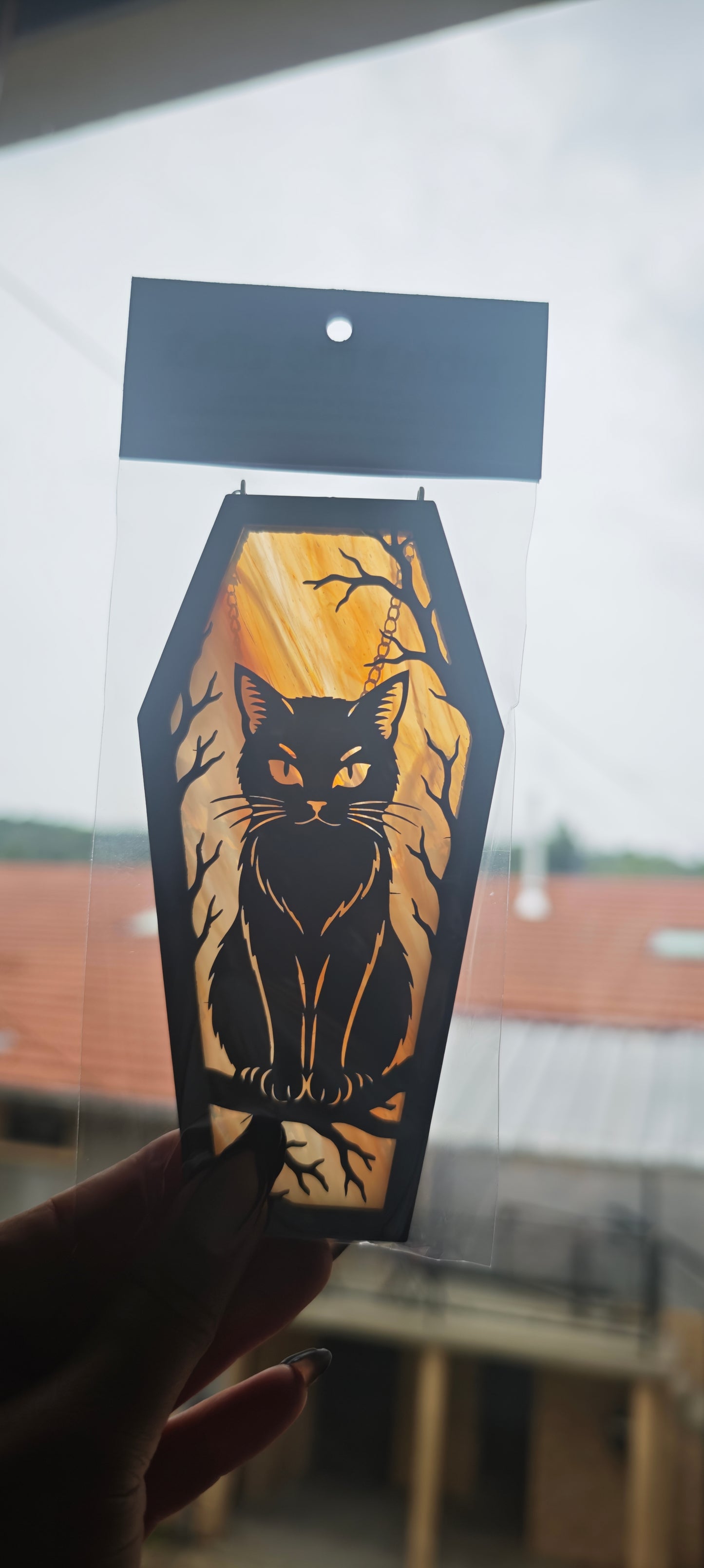 Cercueil verre chat jaune marbré