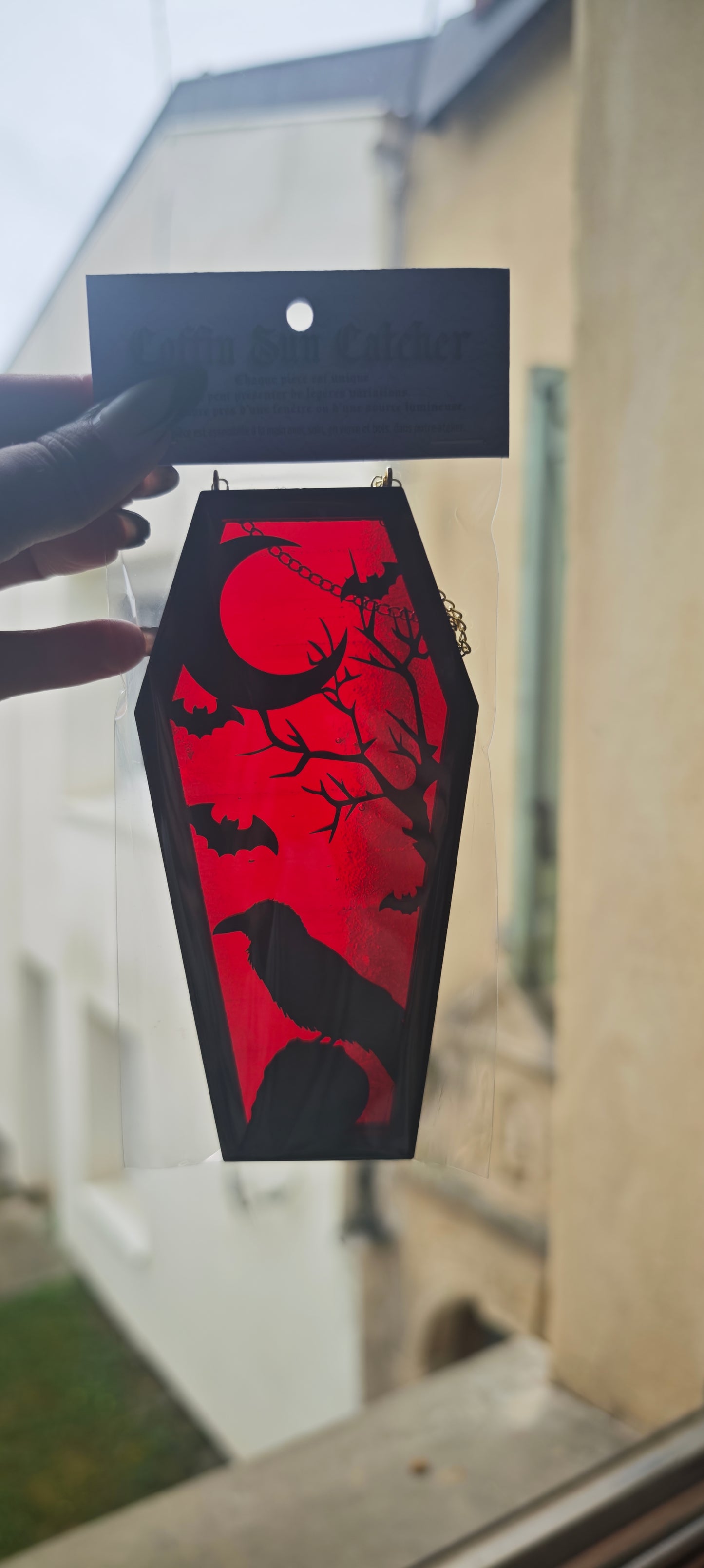 Cercueil verre corbeau crâne rouge
