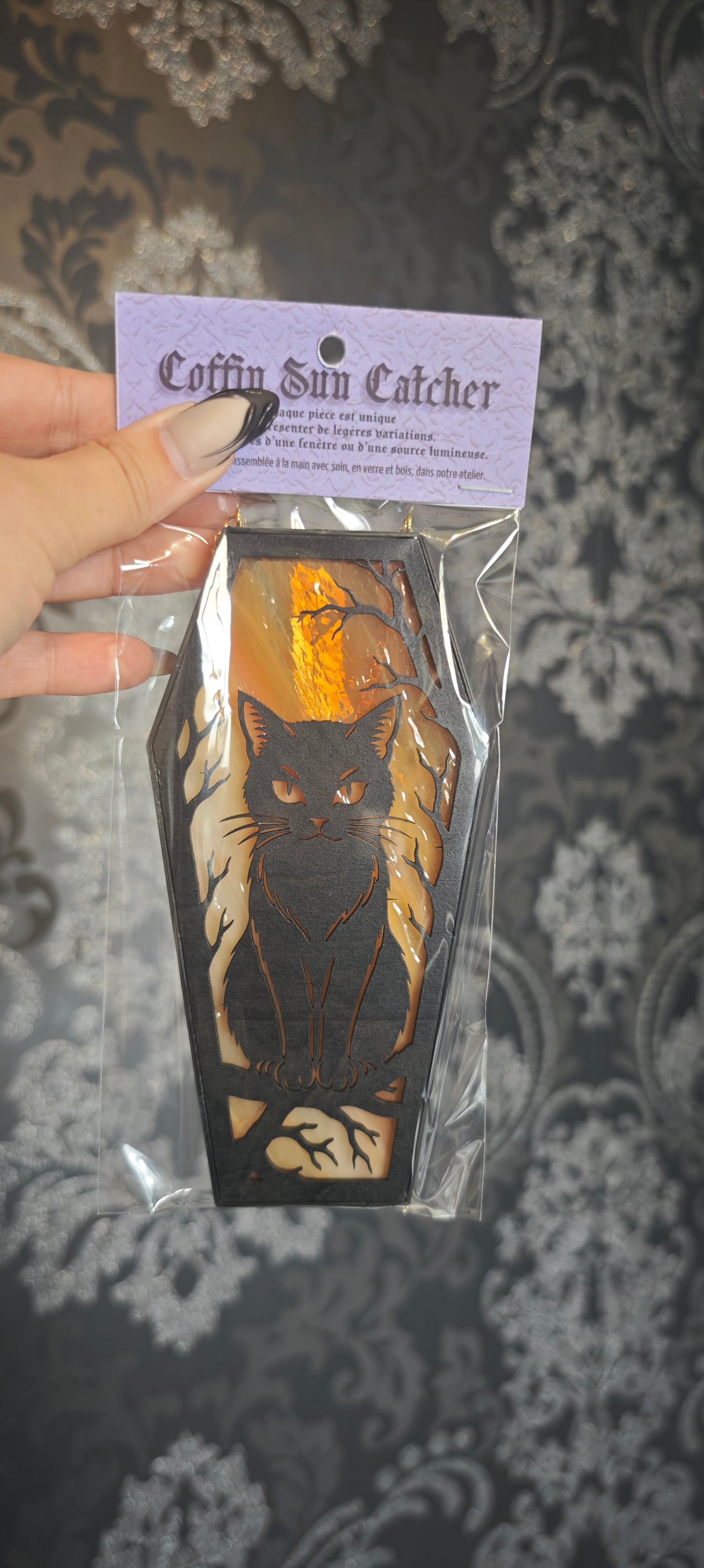 Cercueil verre chat jaune marbré