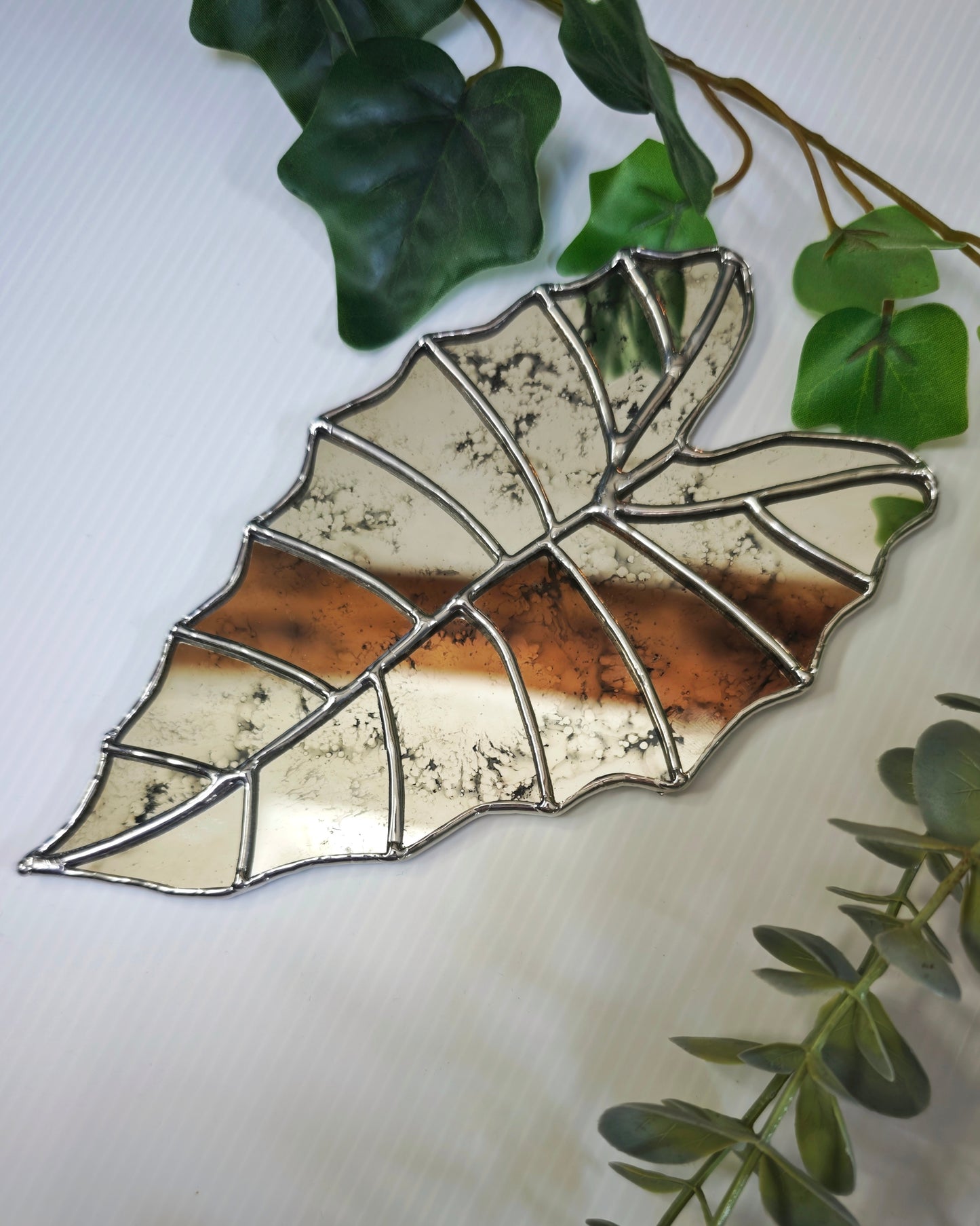 Vitrail Feuille Alocasia