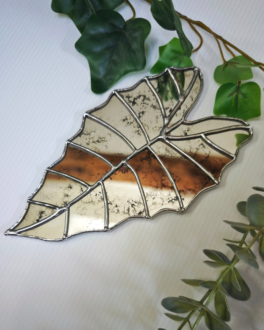 Vitrail Feuille Alocasia