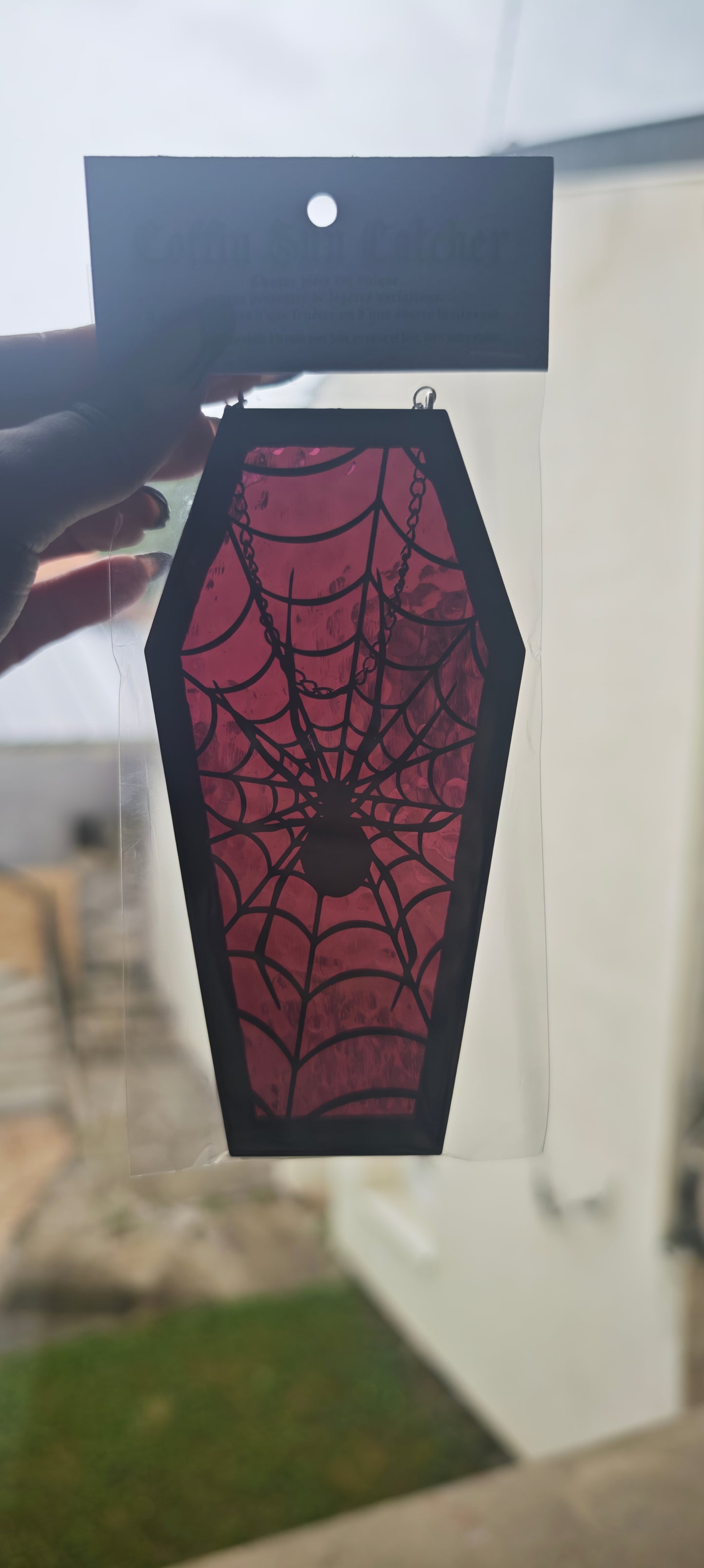 Cercueil verre araignée prune