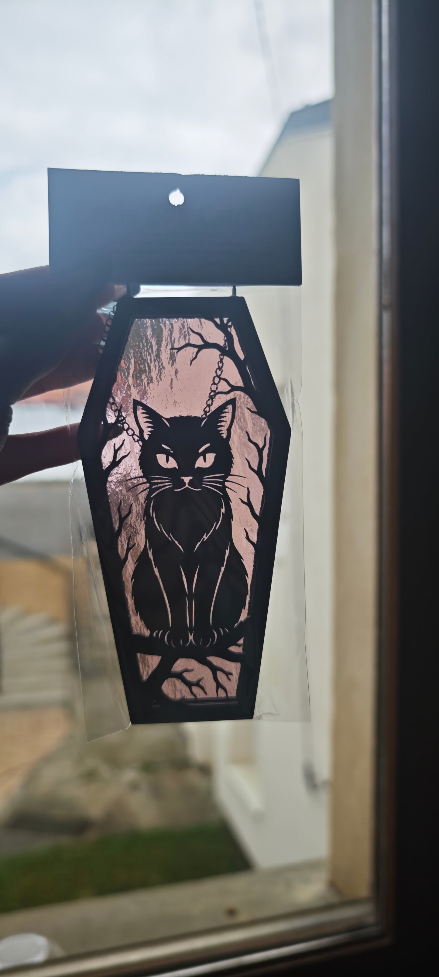 Cercueil verre chat lilas