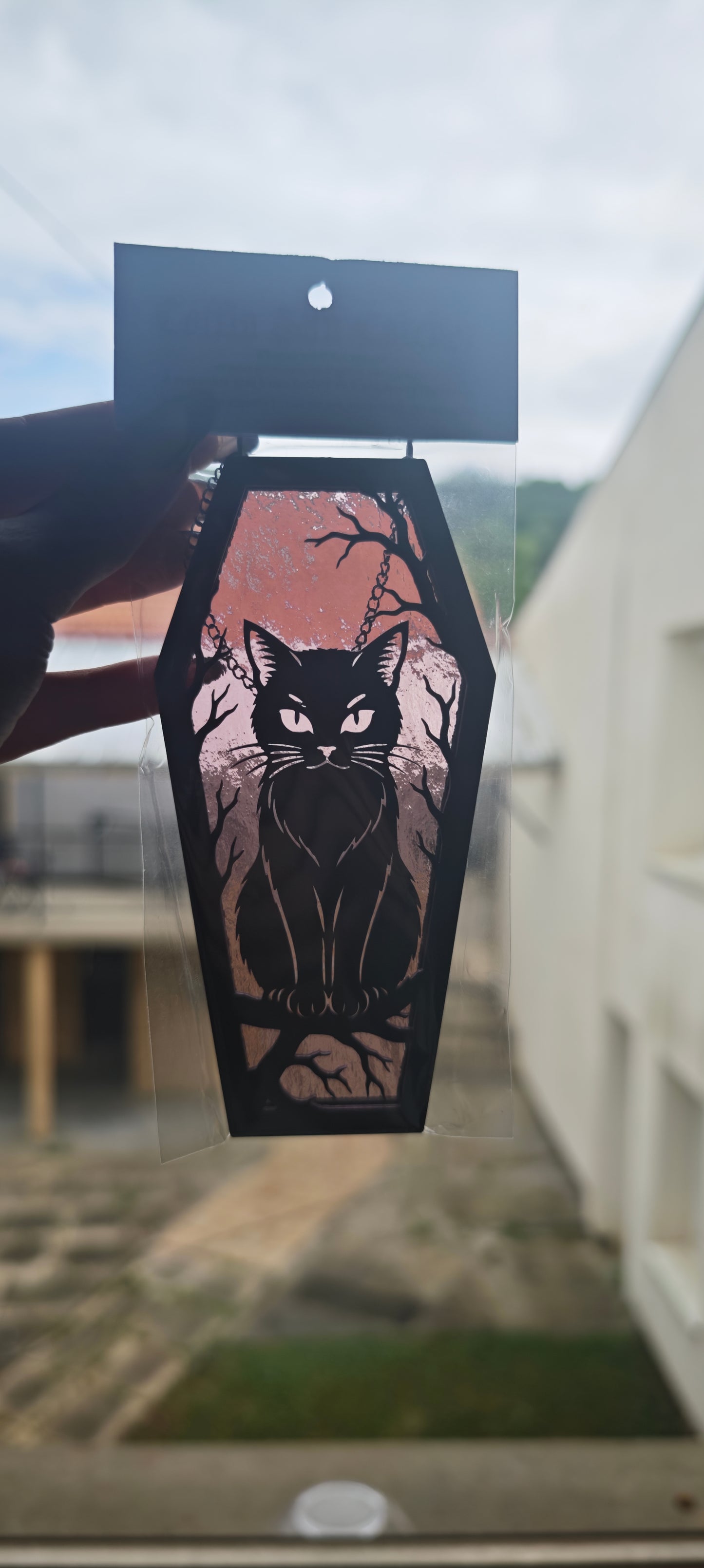 Cercueil verre chat lilas