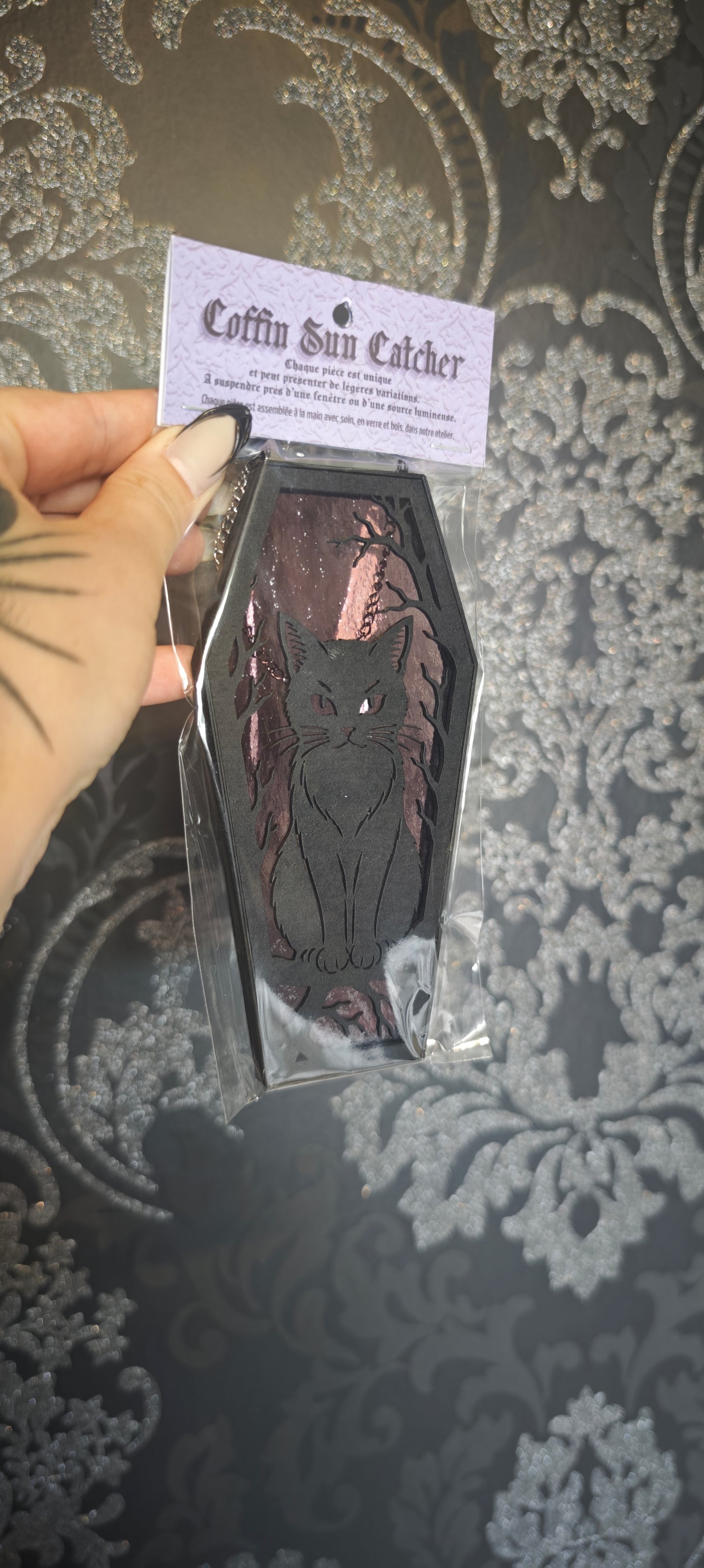 Cercueil verre chat lilas