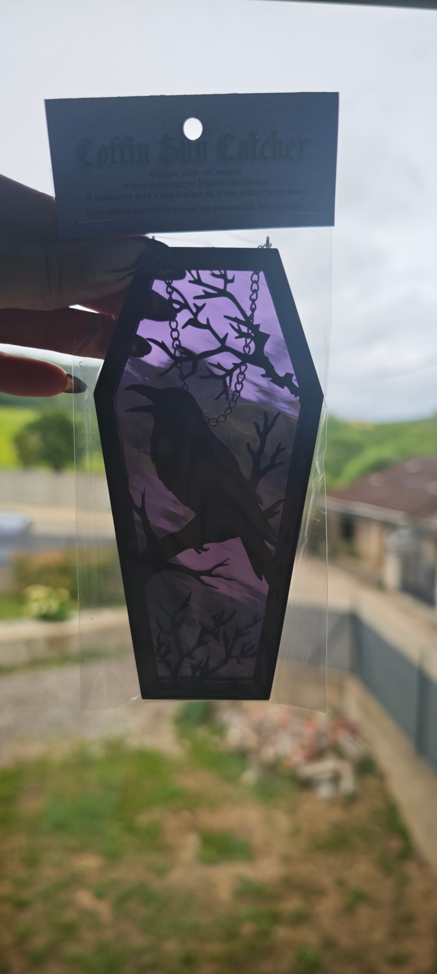 Cercueil verre corbeau violet
