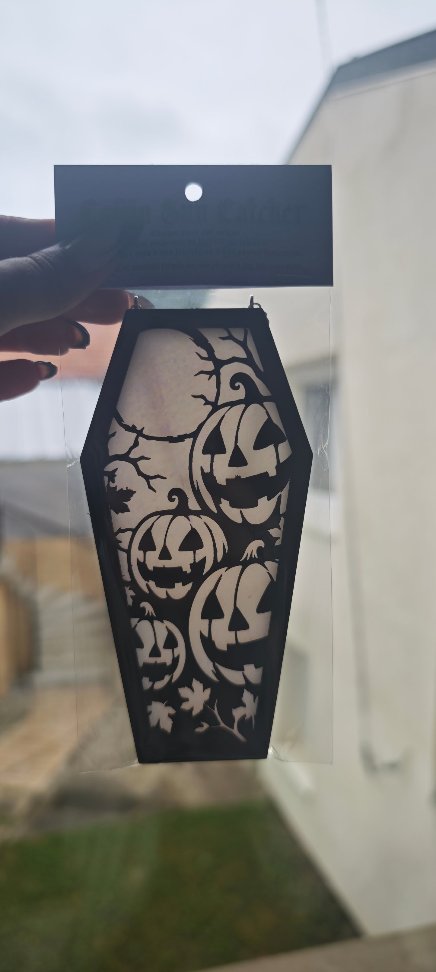 Cercueil verre citrouille blanc holographique