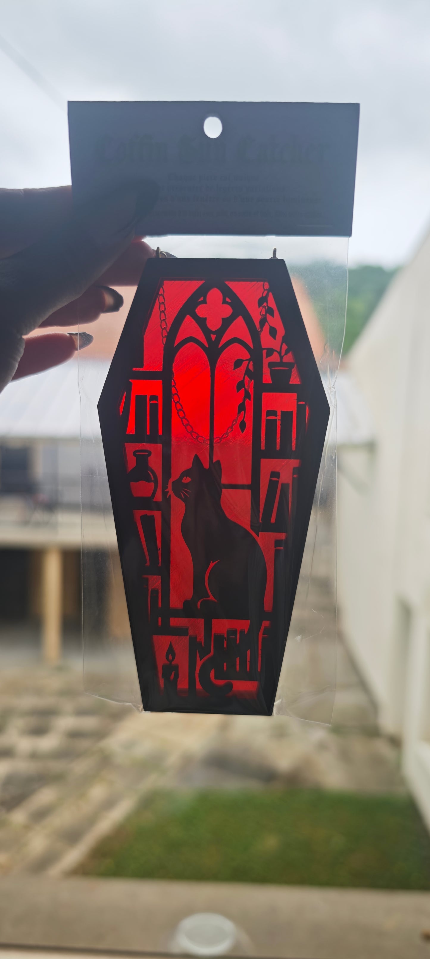 Cercueil verre chat rouge