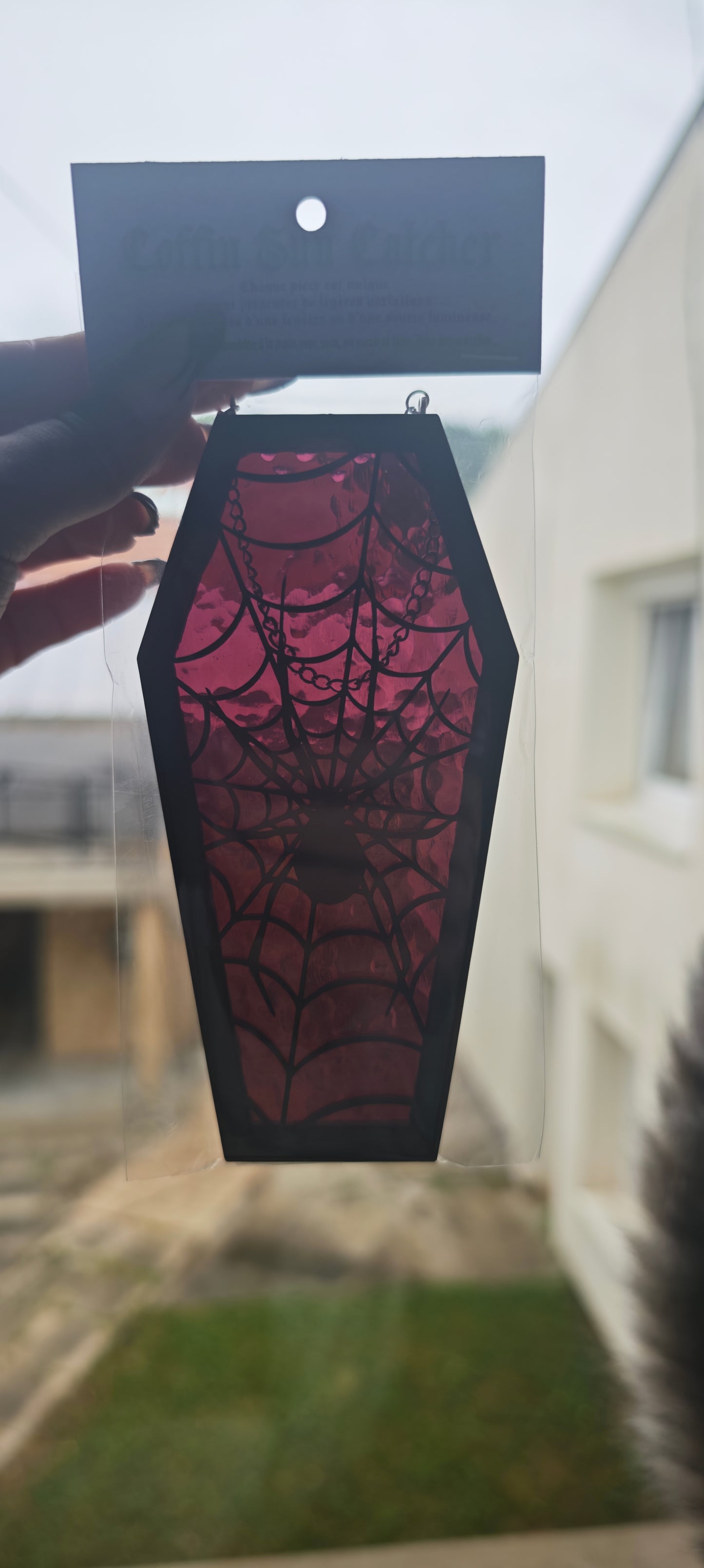 Cercueil verre araignée prune