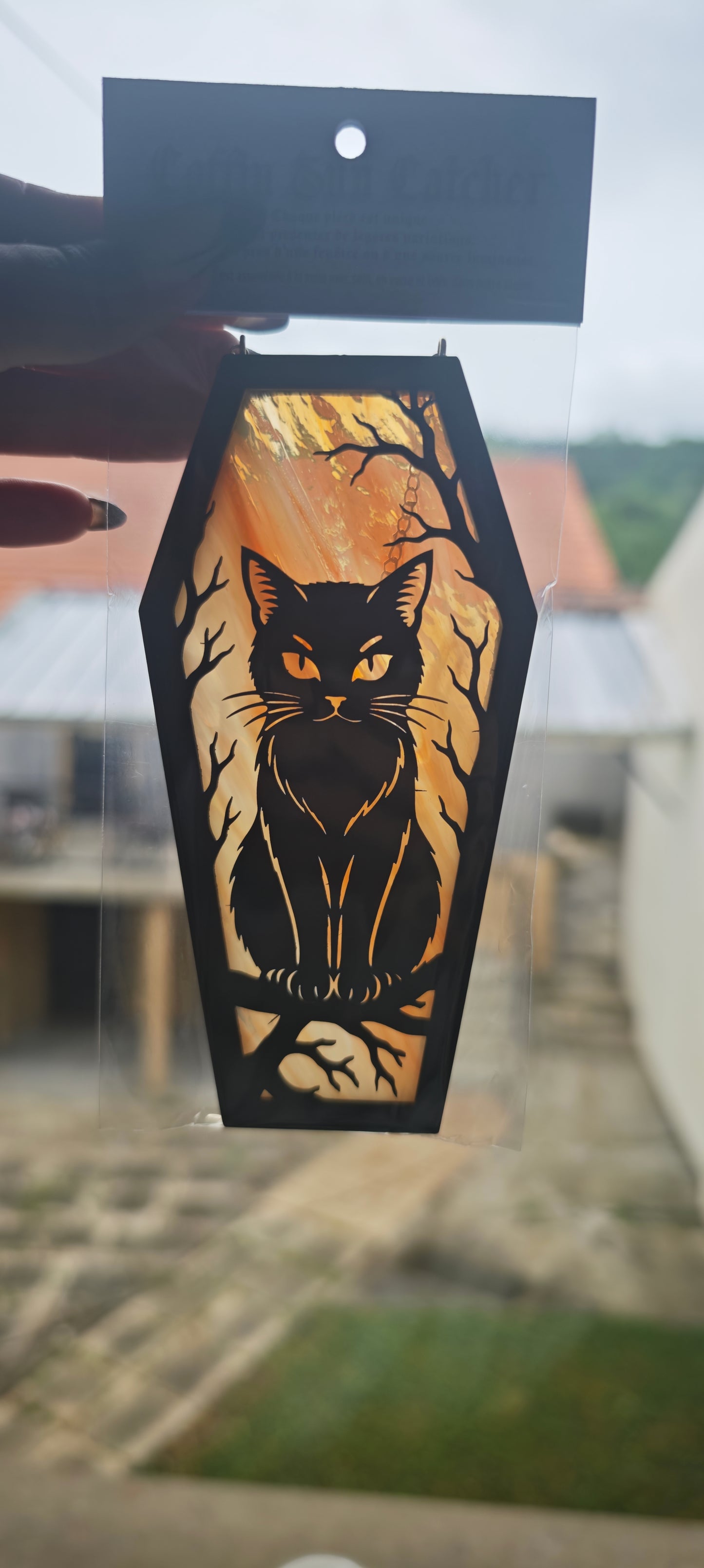 Cercueil verre chat jaune marbré
